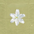 3D Lily Flower Buttons | Spring Decorative Shirt Embellishments